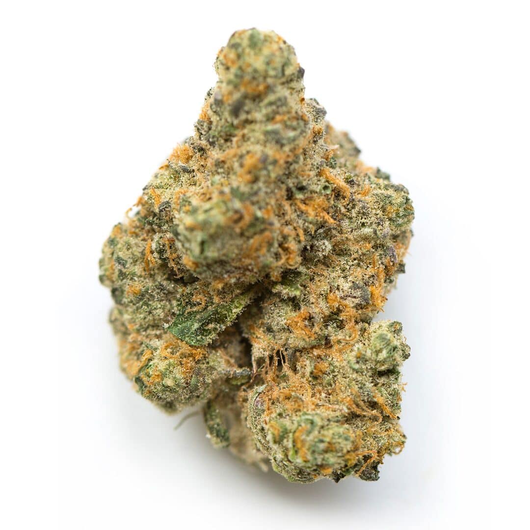 Triangle Mints Strain