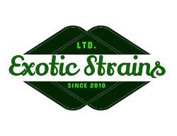 Weed Dispensary Near Me - Best Weed Strains - Weed Delivery