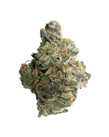 Garlic Cookies Strain - GMO Strain