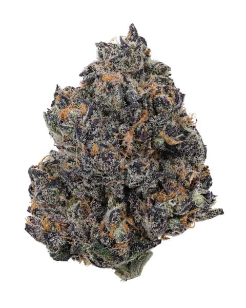 Tropicana Cherry Strain