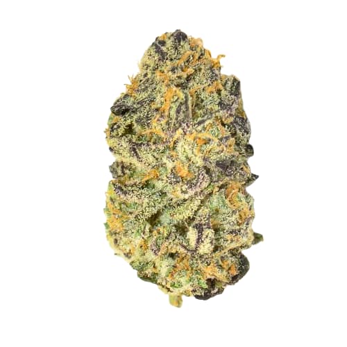 Pure Michigan Strain