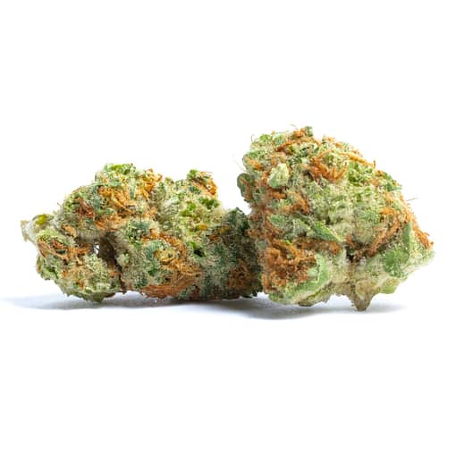 Face Mints Strain